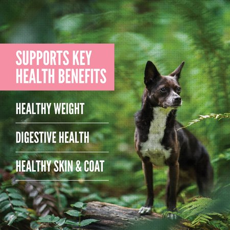 purina one dog food digestive health Purina ONE SmartBlend Chicken & Rice Formula Adult Dry Dog Food