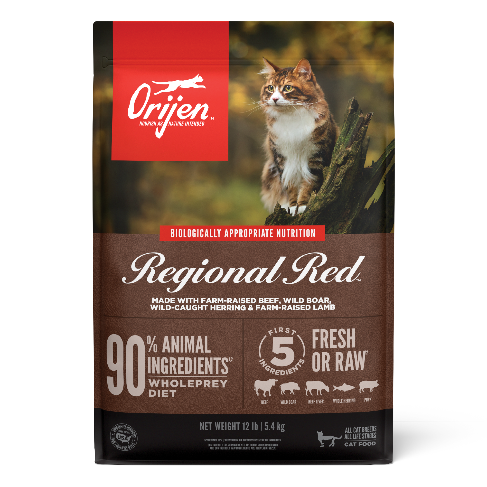 meat based cat food