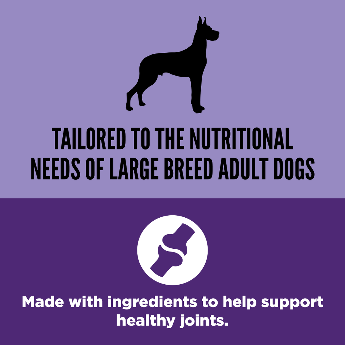 Curated visual reference: Large Breed Adult Dry Dog Food Photo Inspiration