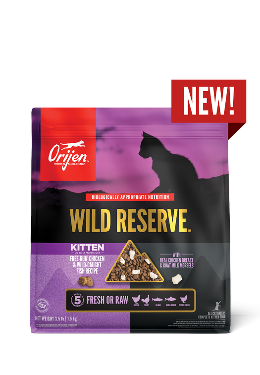 A smart feeding plan: rotation, portions, and transitions