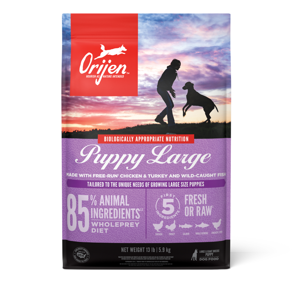 ORIJEN Puppy Large Grain-Free Dry Puppy Food.