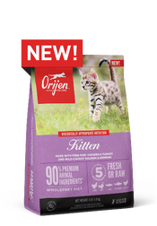 Kitten Formula