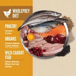 null - Product thumbnail 4.0