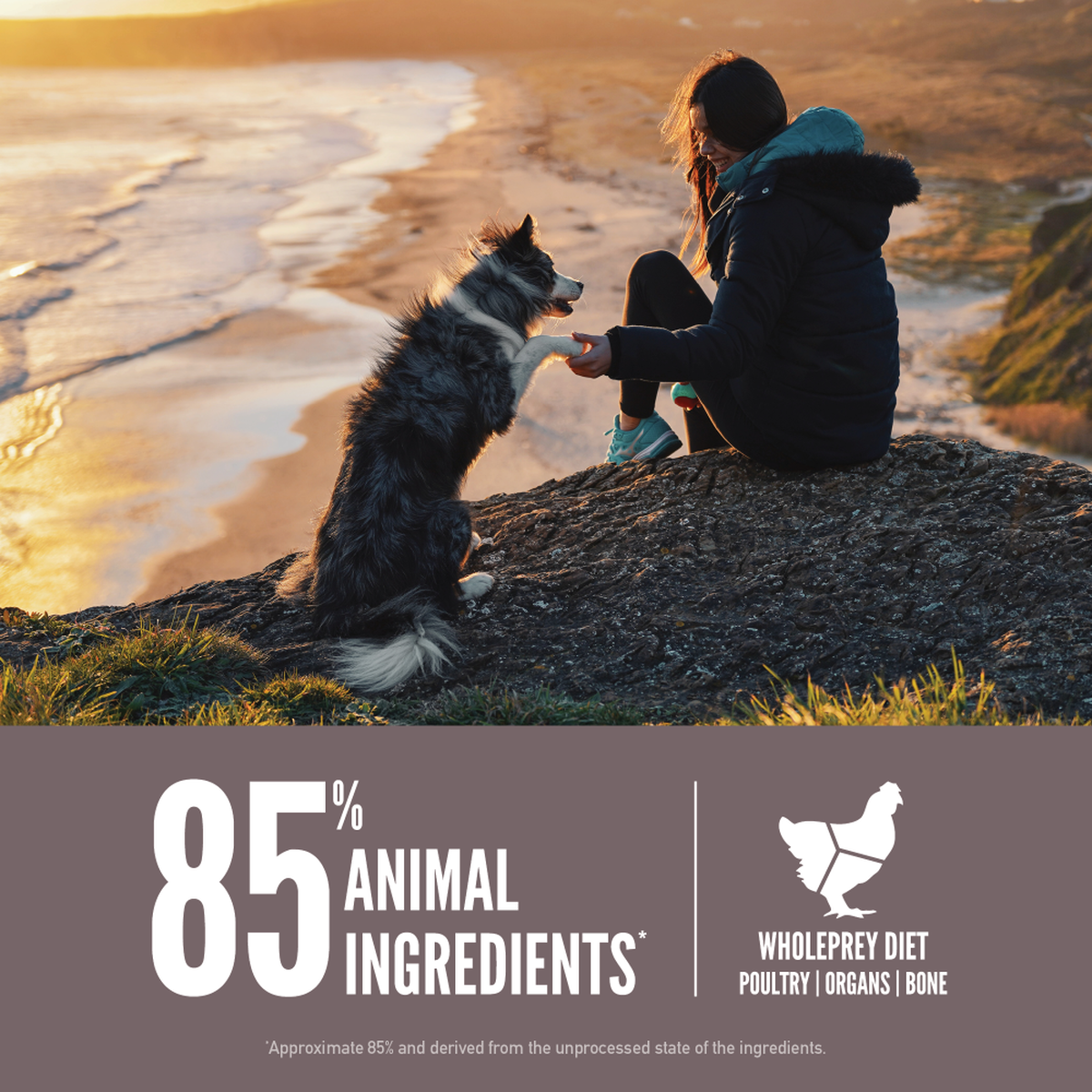 sum mad ifølge Fit and Trim Dog Food | ORIJEN
