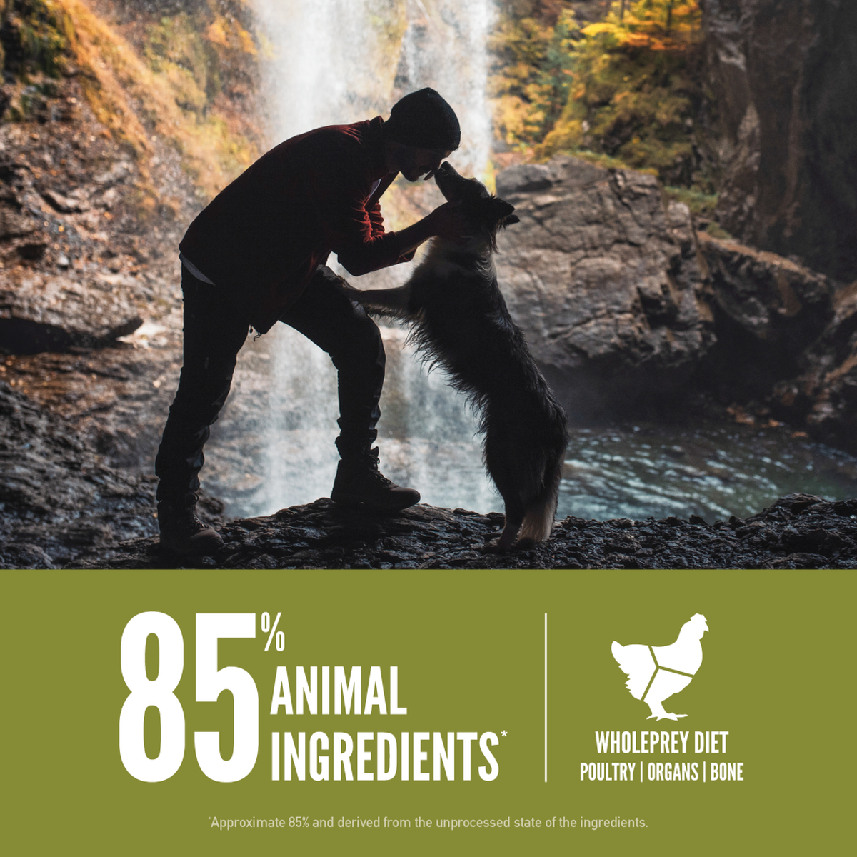 purina pro dog food ingredients Purina Pro Plan Focus Sensitive Skin & Stomach Salmon & Rice Pate Canned Dog  Food - Endicott, NY - Owego, NY main image 1