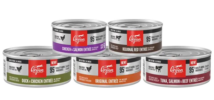Orijen canned cat food 2025
