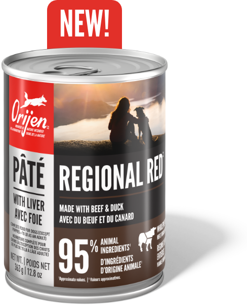 ORIJEN Wet Dog Pate with Liver Regional Red New Image
