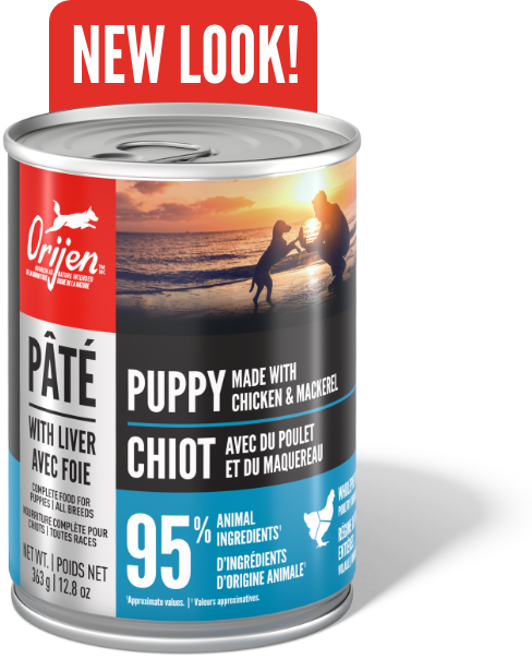 ORIJEN Premium Wet Dog Puppy Front