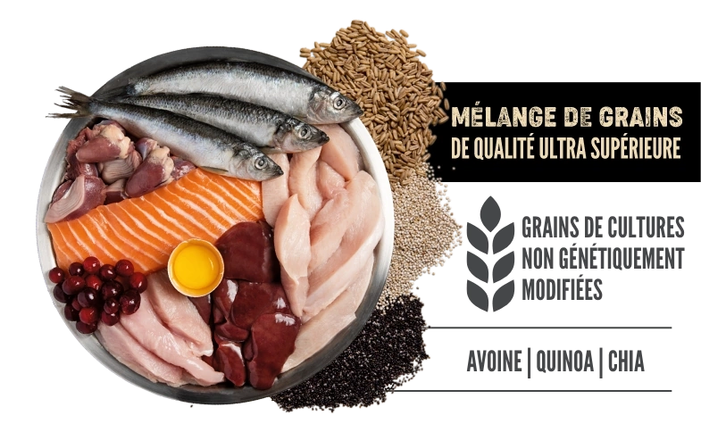 MÉLANGE DE GRAINS DE QUALITÉ ULTRA SUPÉRIEURE GRAINS DE CULTURES NON GÉNÉTIQUEMENT MODIFIÉES. AVOINE, QUINOA, CHIA.